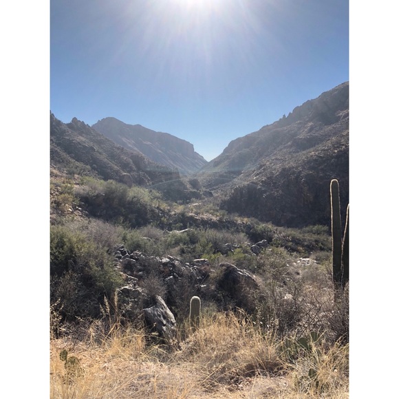 Meet your Posher, Kristyn - Picture 2 of 6